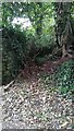 Old Pathway, Glen Road, Laugharne