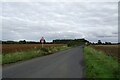 Road towards Langton