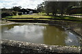 Pond, Swarling Manor Farm