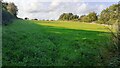 NY3858 : Grass field between A689 and road to Stainton from A689 roundabout by Roger Templeman