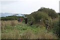 Working party returning to work on Langloffan Fen