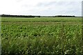 Cotswold farmland