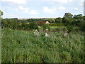 The churchyard at Sutterby