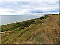 The cliff top at Barton on Sea