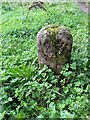 Old Boundary Marker beside the River Eden in Carlisle