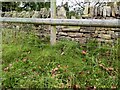 Stone Stile, Fulbrook