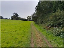 SU5371 : Farm track near Hatchments Shaw by Oscar Taylor