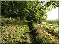 Bridleway on the edge of Gaer-fawr hill near Guilsfield