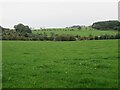 Grass field at Burnhouses Farm