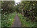 Path through nature reserve