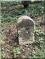 Old Milestone, North Trigon