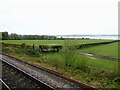 From a Chester-Holyhead train - Sheep pasture and woodland near Wig