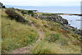 NT4683 : Cliff path, Gullane Bay by Jim Barton