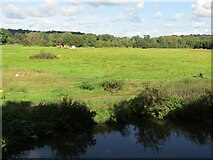 SU9946 : Peasmarsh - Riverside Meadow by Colin Smith