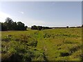 Restricted byway towards Woolley Down Cottage