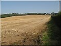 Stubble prairie