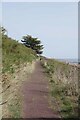 TM1815 : A Mid-Cliff Path Near Pybus Bay by Glyn Baker