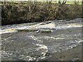 Haltwhistle Burn