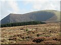 Across a soggy moor towards Mynydd Mawr