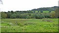 New nature reserve by River Calder