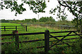 Row of open stalls, apparently disused, Westerland Farm, 2010