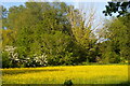 Watermeadows along the River Fromus, Benhall Green