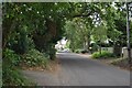 Salterns Lane