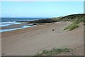 NT4883 : End of the beach, Gullane Bay by Richard Sutcliffe