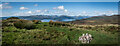 NS4392 : Conic Hill Summit Panno, Loch Lomond, Stirling by Brian Deegan