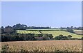 SX0956 : Farmland near Par Cornwall by Roy Hughes
