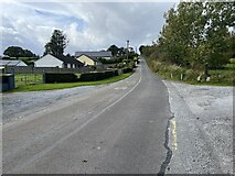 V9988 : Outskirts of Killarney by Neville Goodman
