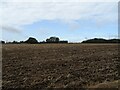 Field, Tharston