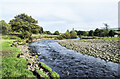 Eroding bank of River Wear