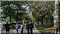 Path, Holland Park