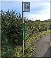 SO0933 : Bilingual TrawsCymru bus stop sign, Felinfach, Powys by Jaggery