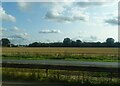 TG3109 : Farmland south of the A47 by JThomas