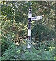 NY3647 : Direction Sign - Signpost near Hawksdale Hall by B Todd
