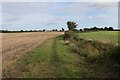 Bridleway to Field House Farm