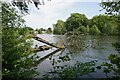 Poynton Pool