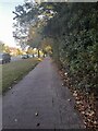 Pavement on Lyttelton Road, Hampstead Garden Suburb