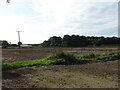 Fields and drain, Salhouse