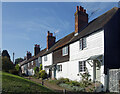 Old Houses, Spring Gardens