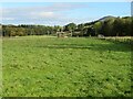 Pasture at Abbotsford