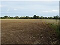 Stubble field off Market Road