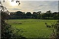 Pasture by the Oxford Canal