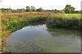 River Avon near Clifton