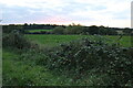 Fields south of Bury St Edmunds