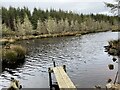 NR5164 : Struthan na Muic Loch by thejackrustles