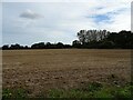 Stubble field off Ouse Lane