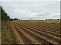 Ridged field of Mill Road